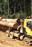 truck in cam